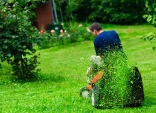 Kwikfynd Lawn Mowing
mayrung