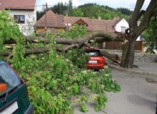 Kwikfynd Tree Cutting Services
mayrung